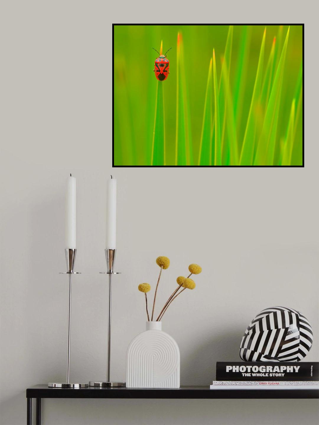Life in an imaginary world... Poster och Canvastavla