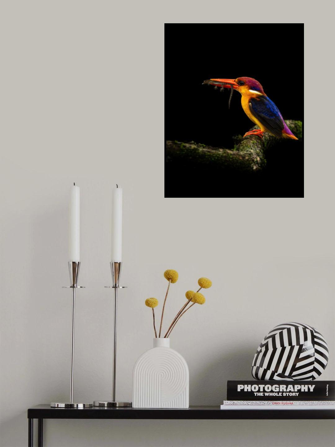 Life and Death Poster och Canvastavla