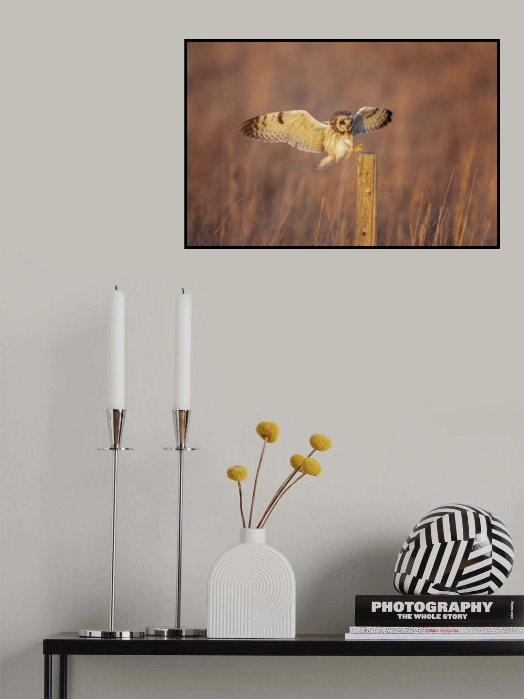 Landing Poster och Canvastavla