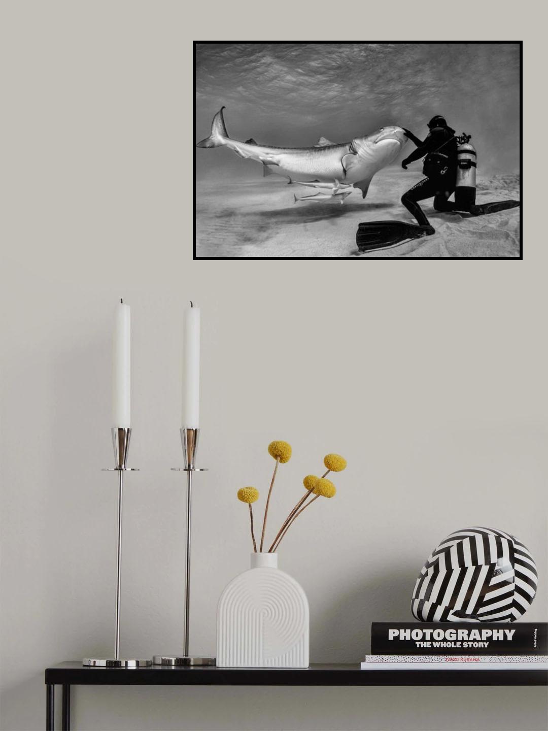 Dance with sharks (part 2) Poster och Canvastavla