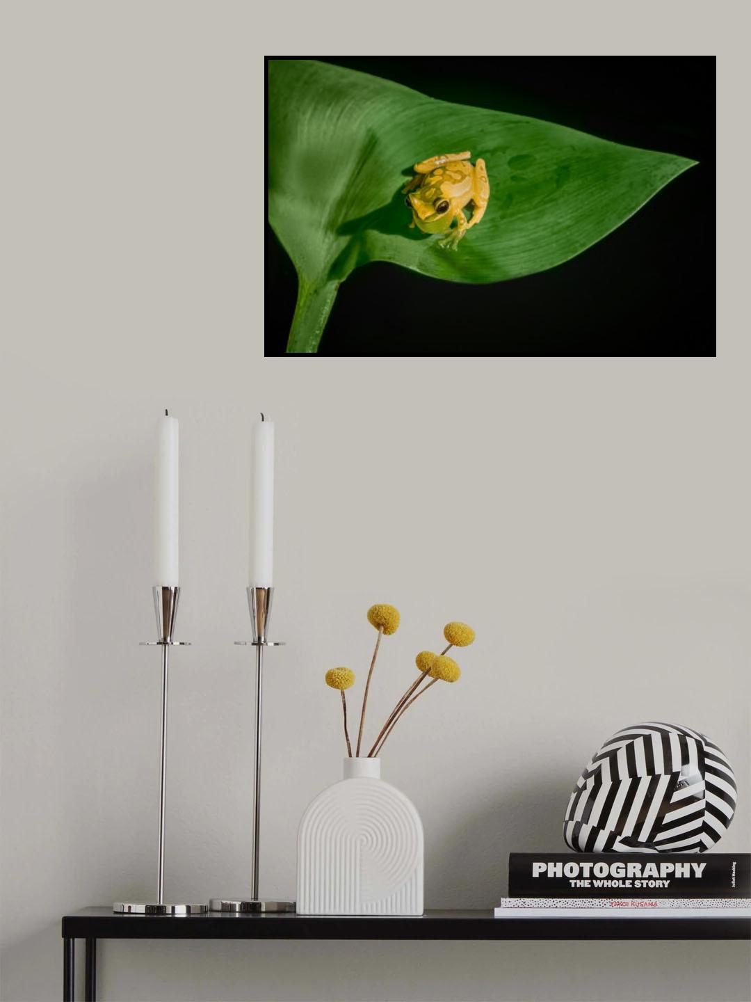 Yellow Tree Frog Poster och Canvastavla