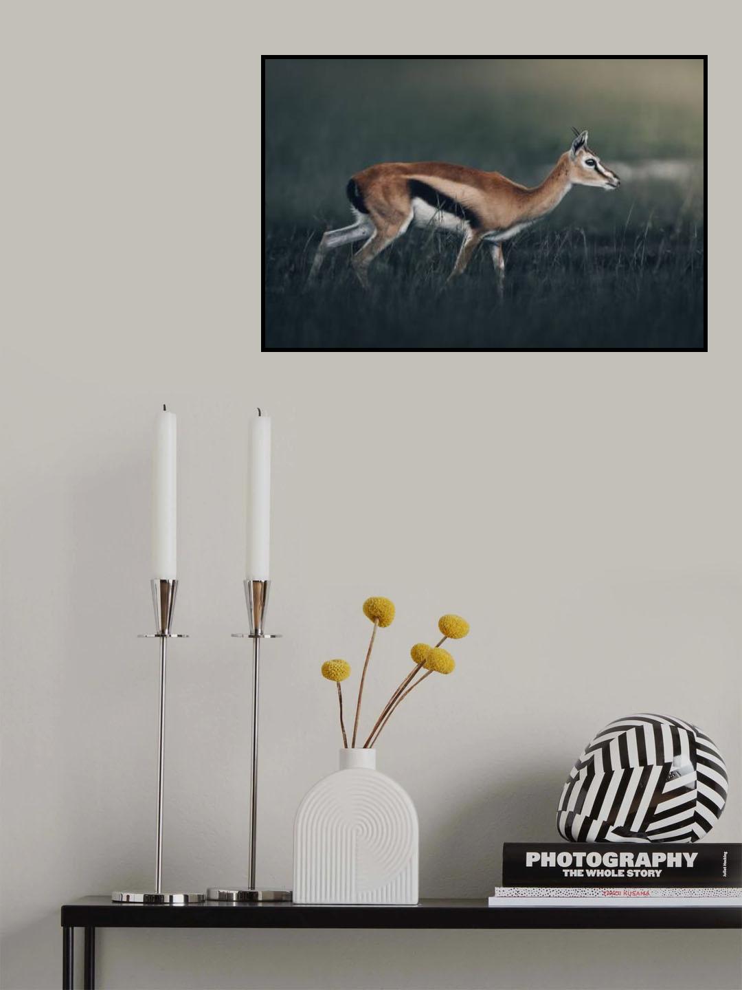 Poster och Canvastavla