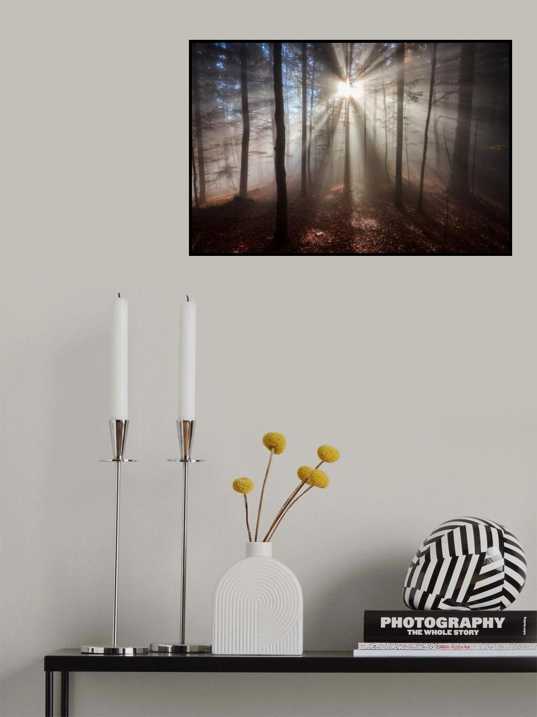 Magic forest Poster och Canvastavla