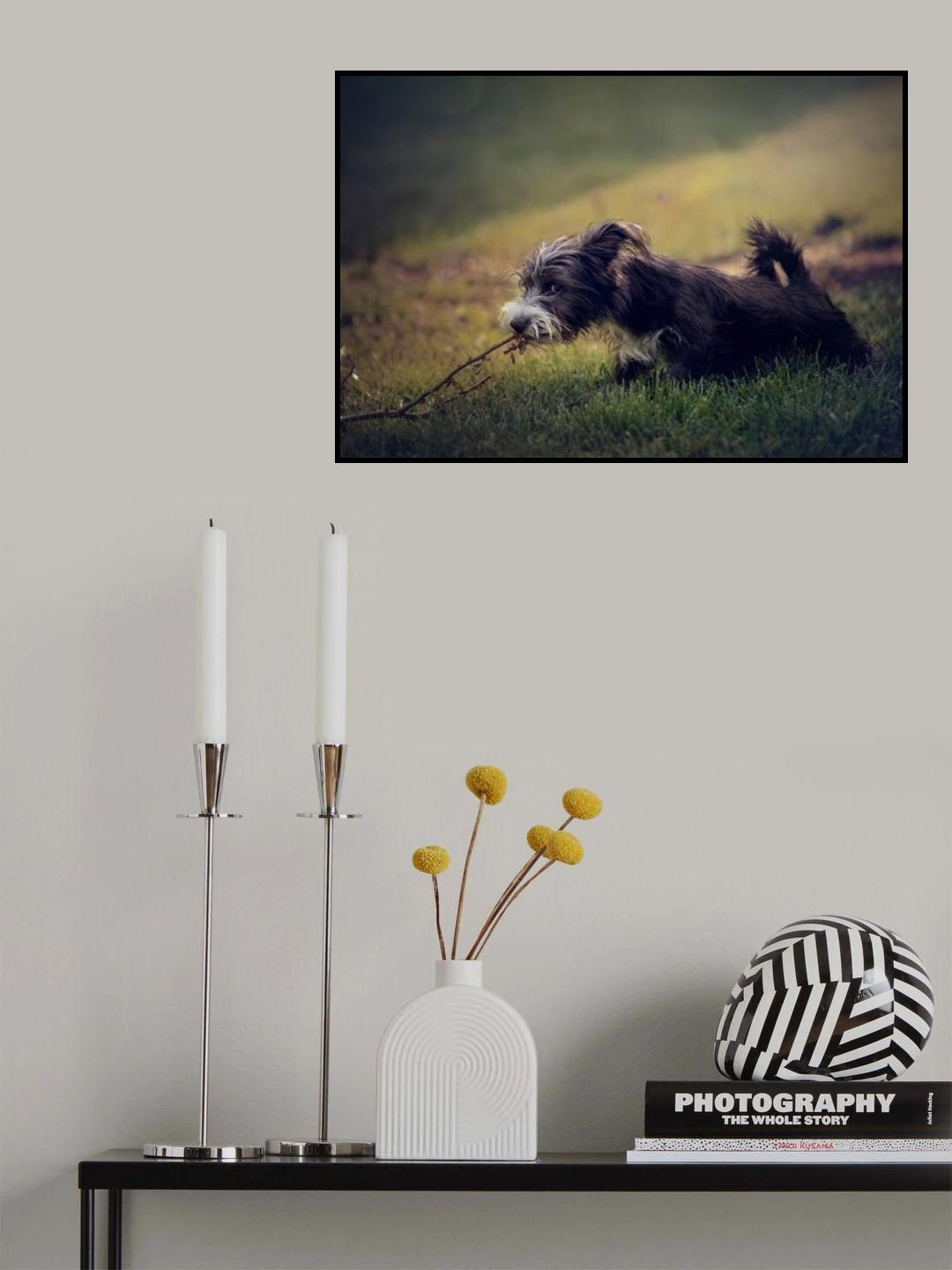 Puppy Poster och Canvastavla
