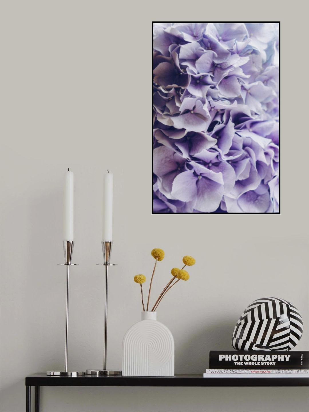 Lilac Hydrangea Poster och Canvastavla