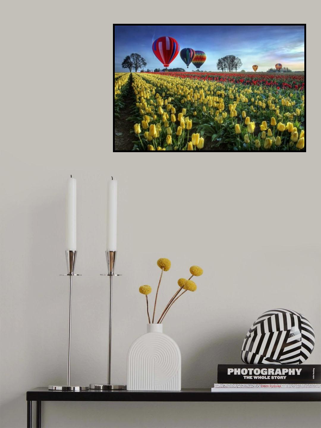 Hot air balloons over tulip field Poster och Canvastavla