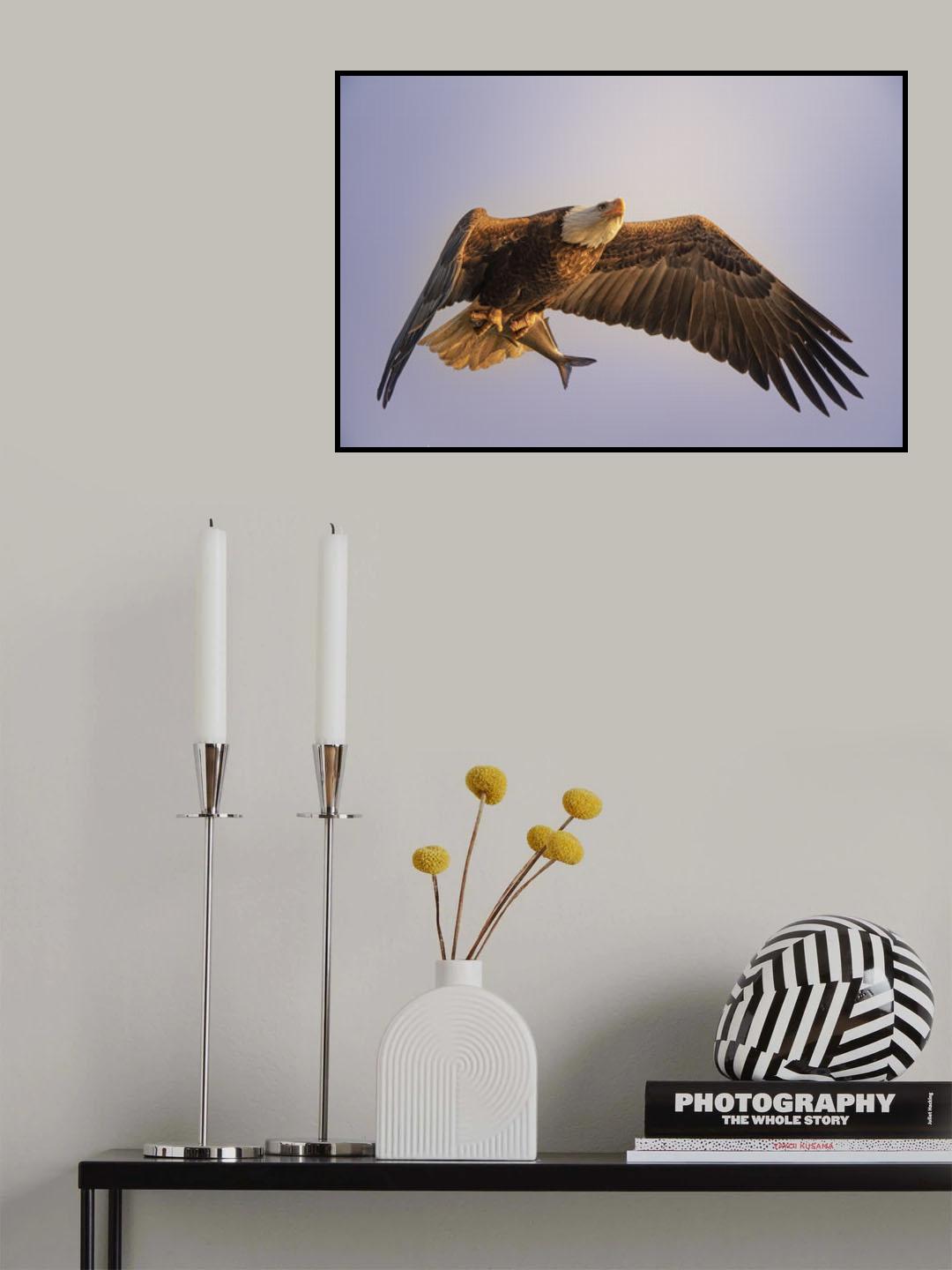 Eagle Poster och Canvastavla