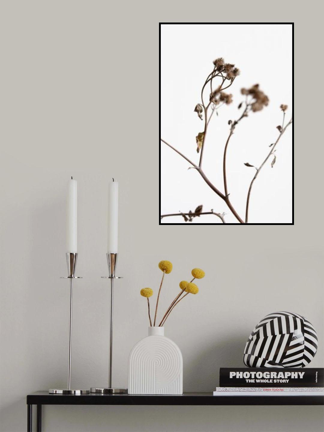 Dried Twig Poster och Canvastavla