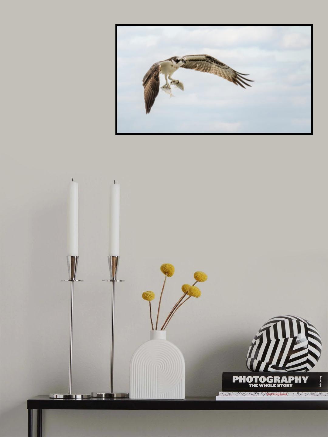 Double Catch Poster och Canvastavla