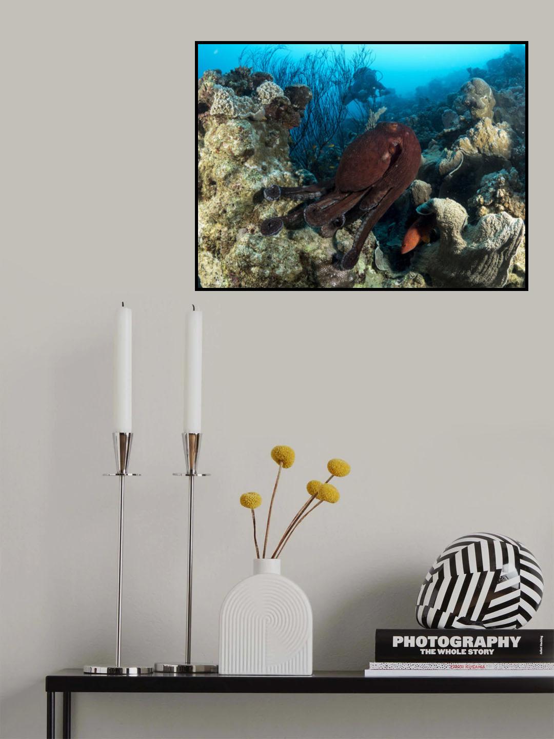 Octopuses Garden Poster och Canvastavla