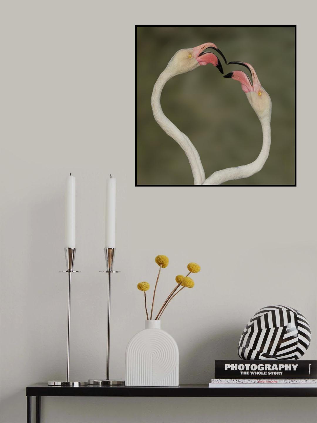 love Poster och Canvastavla