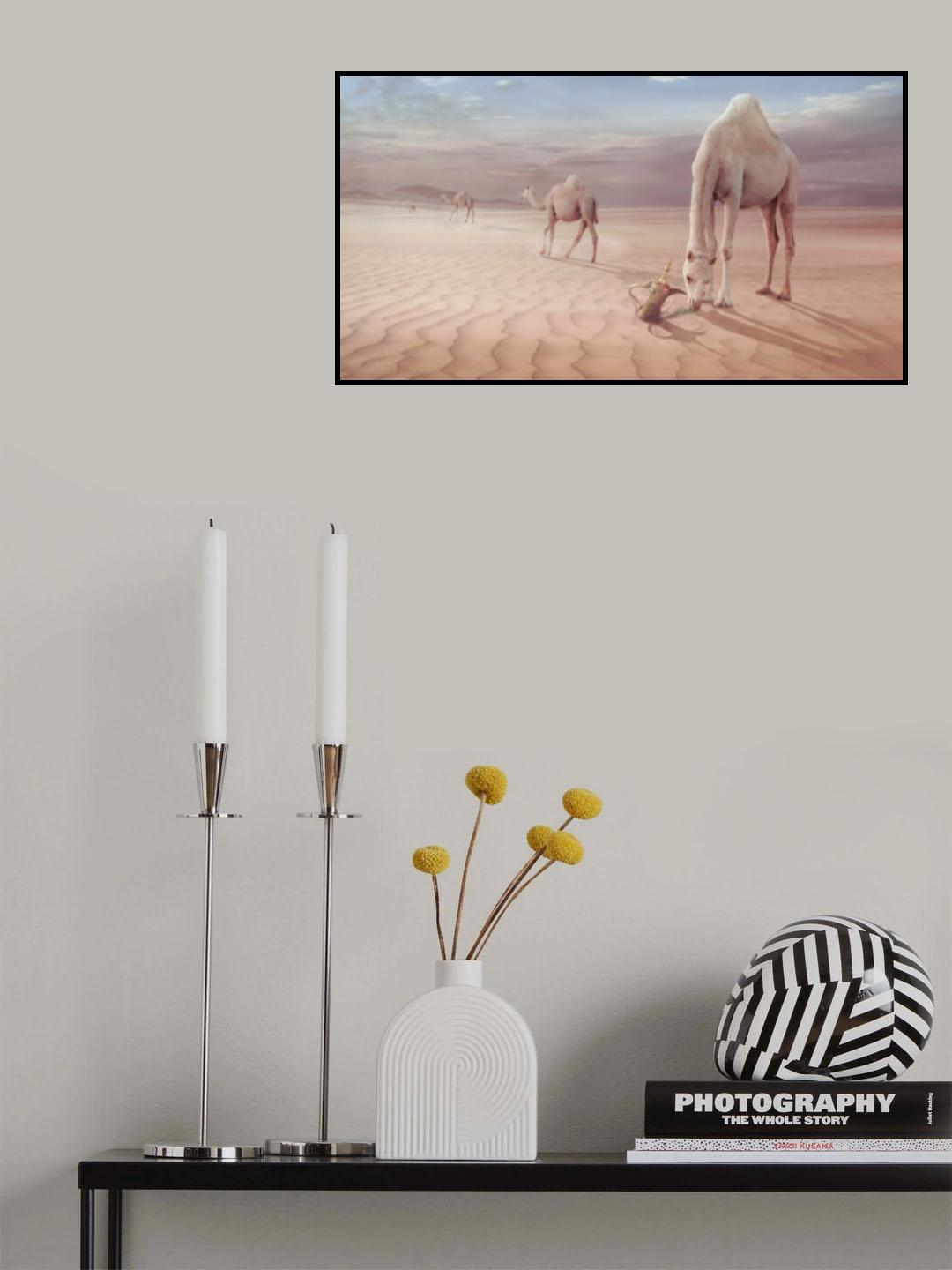 Camels Trip Poster och Canvastavla