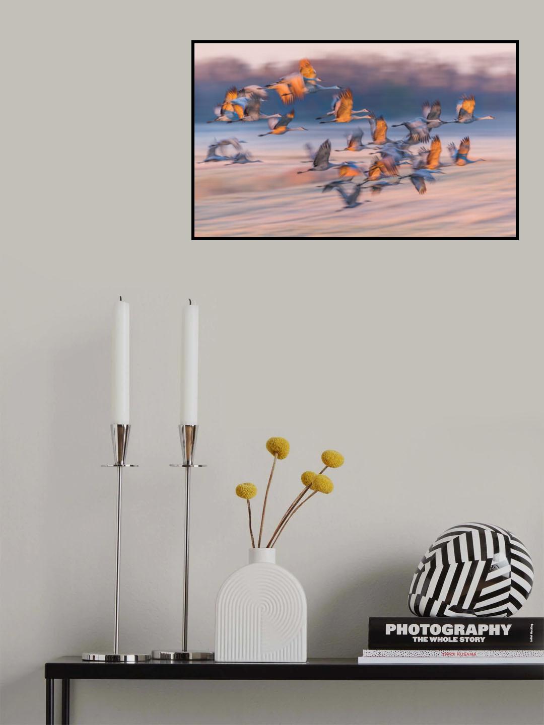 Dream of the south Poster och Canvastavla