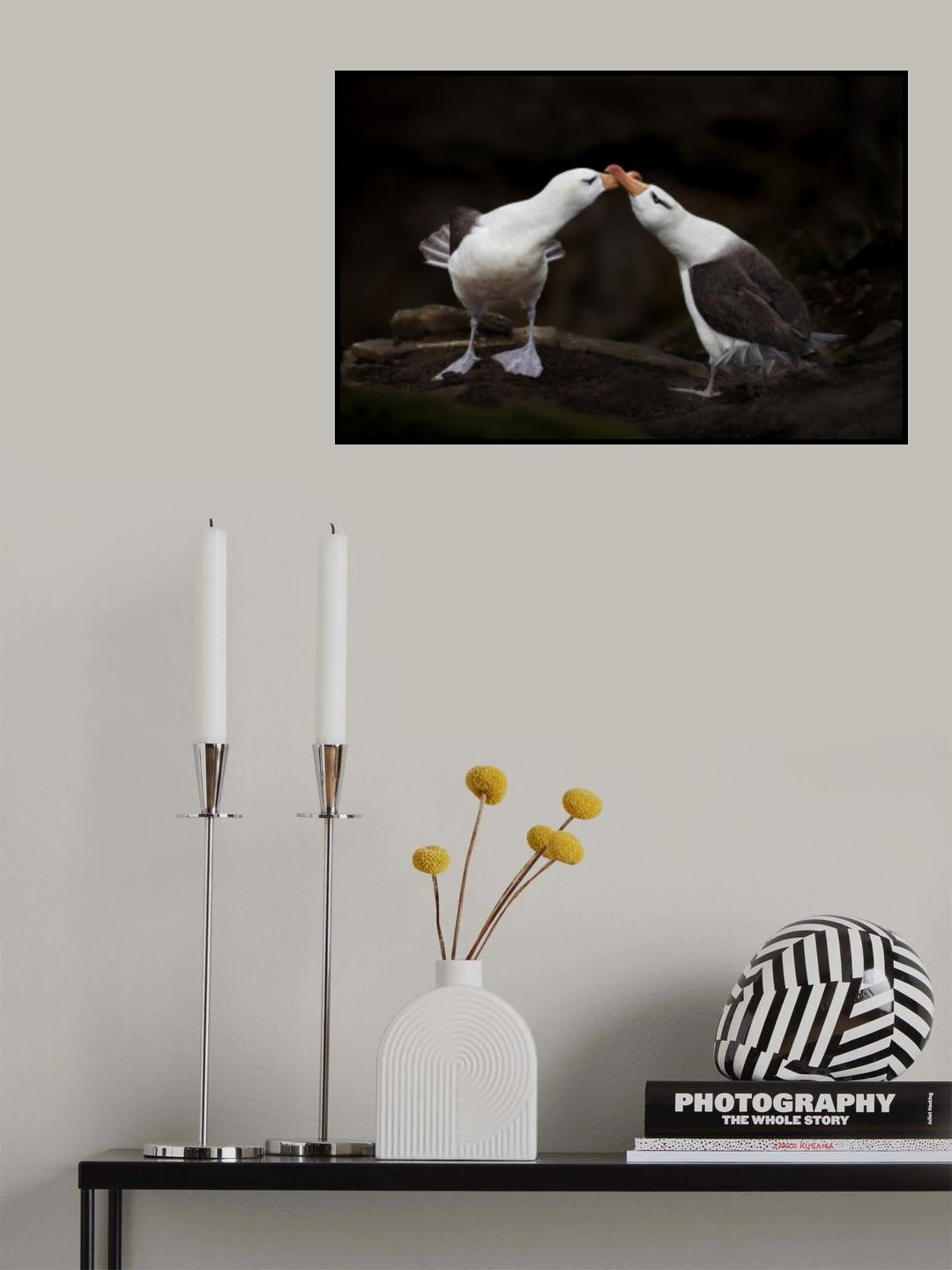 Love Birds Poster och Canvastavla