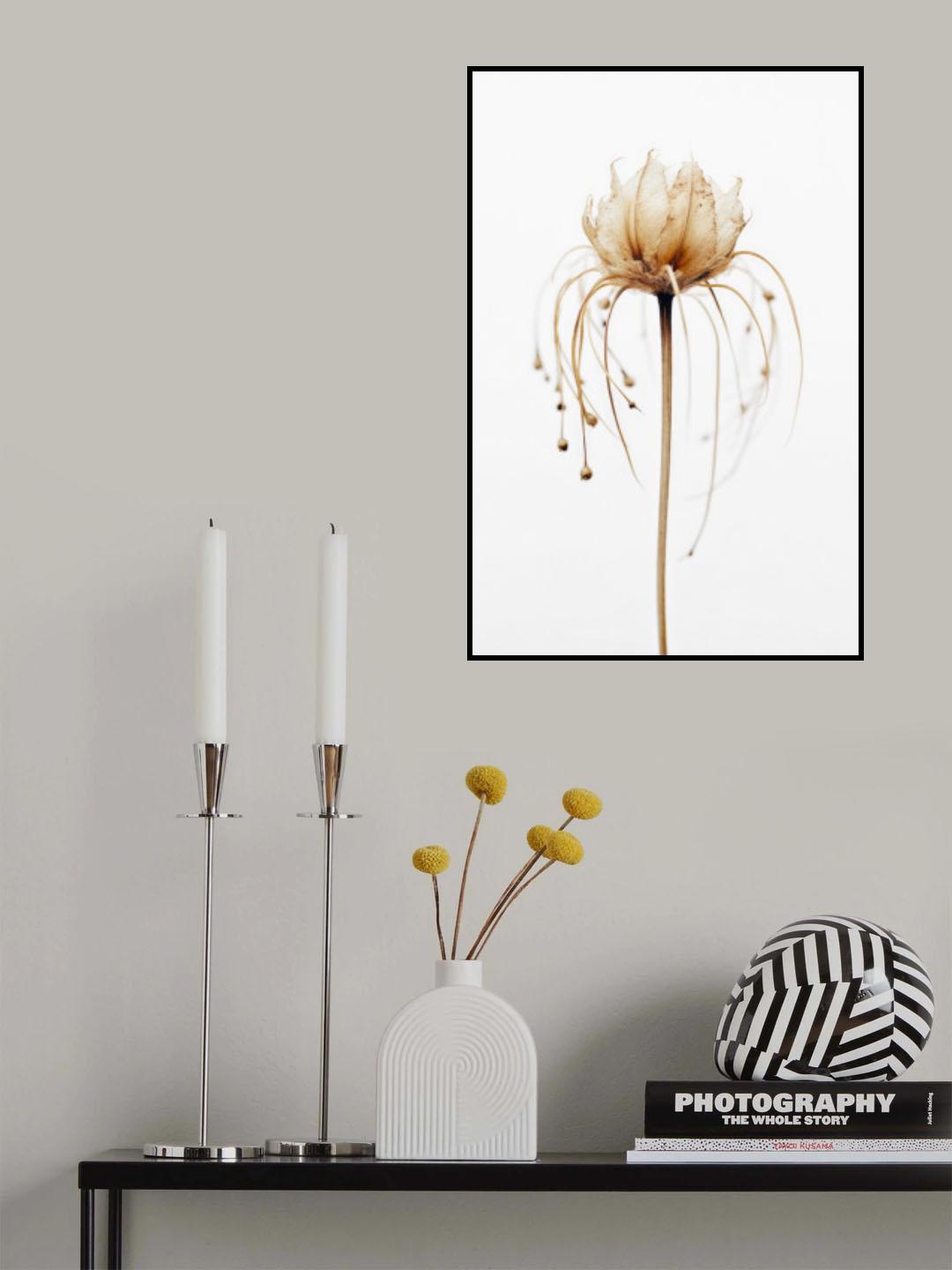 Tentacle Flower Poster och Canvastavla