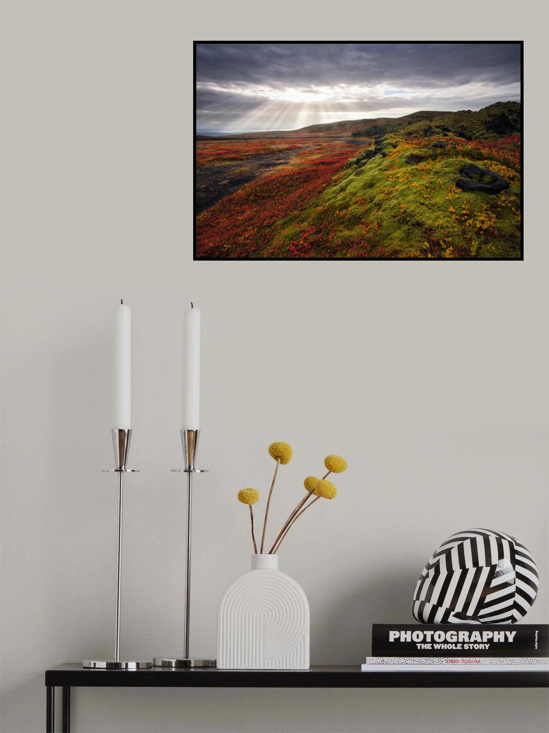 Light and colors of Autumn Poster och Canvastavla