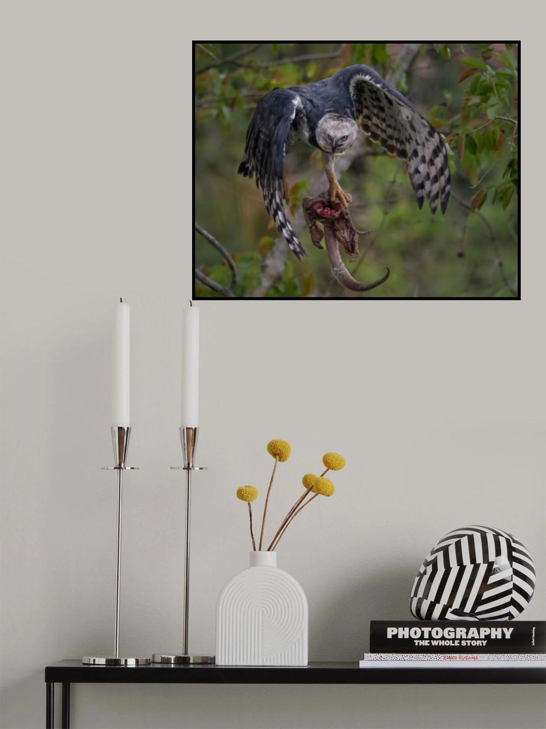 Poster och Canvastavla