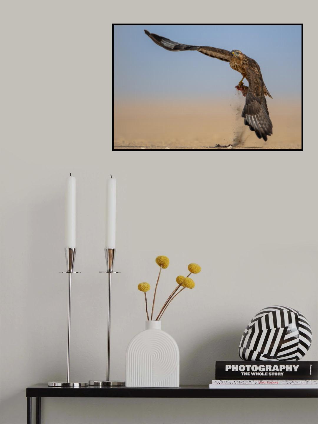 Takeoff Poster och Canvastavla
