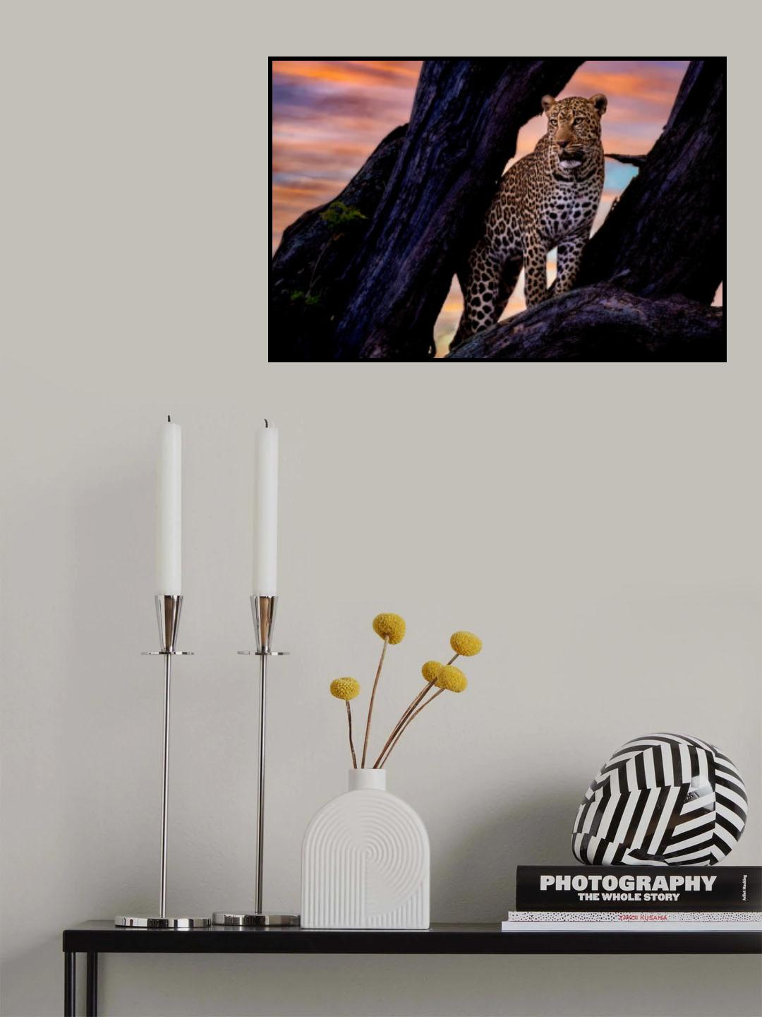 Leopard on the tree Poster och Canvastavla