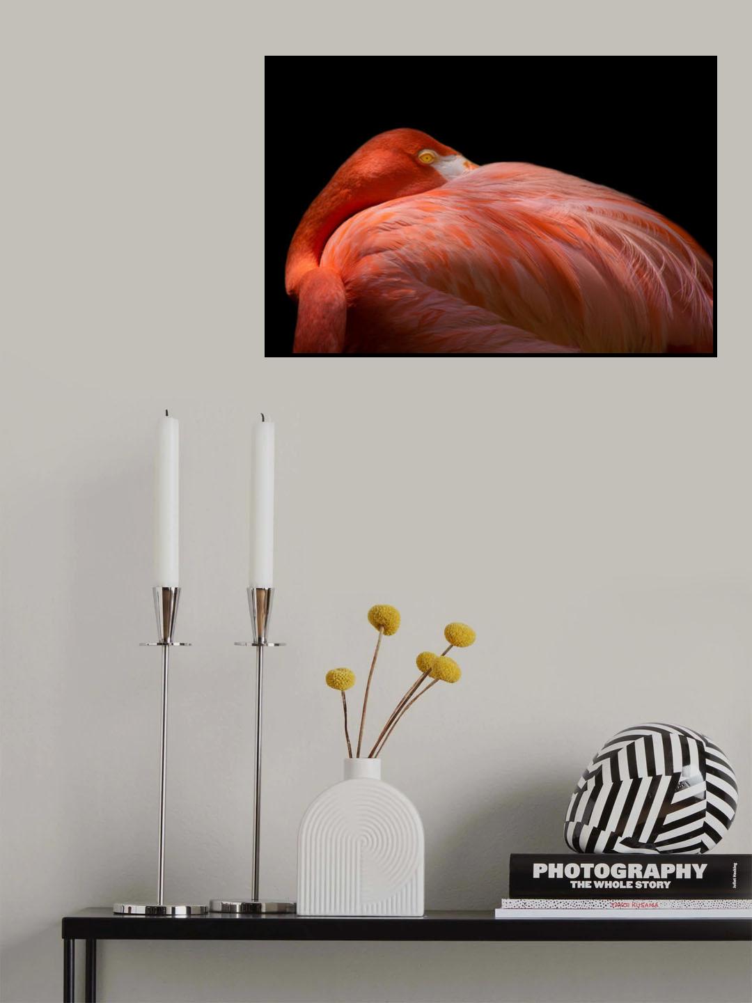 Melancholy Flamingo Poster och Canvastavla