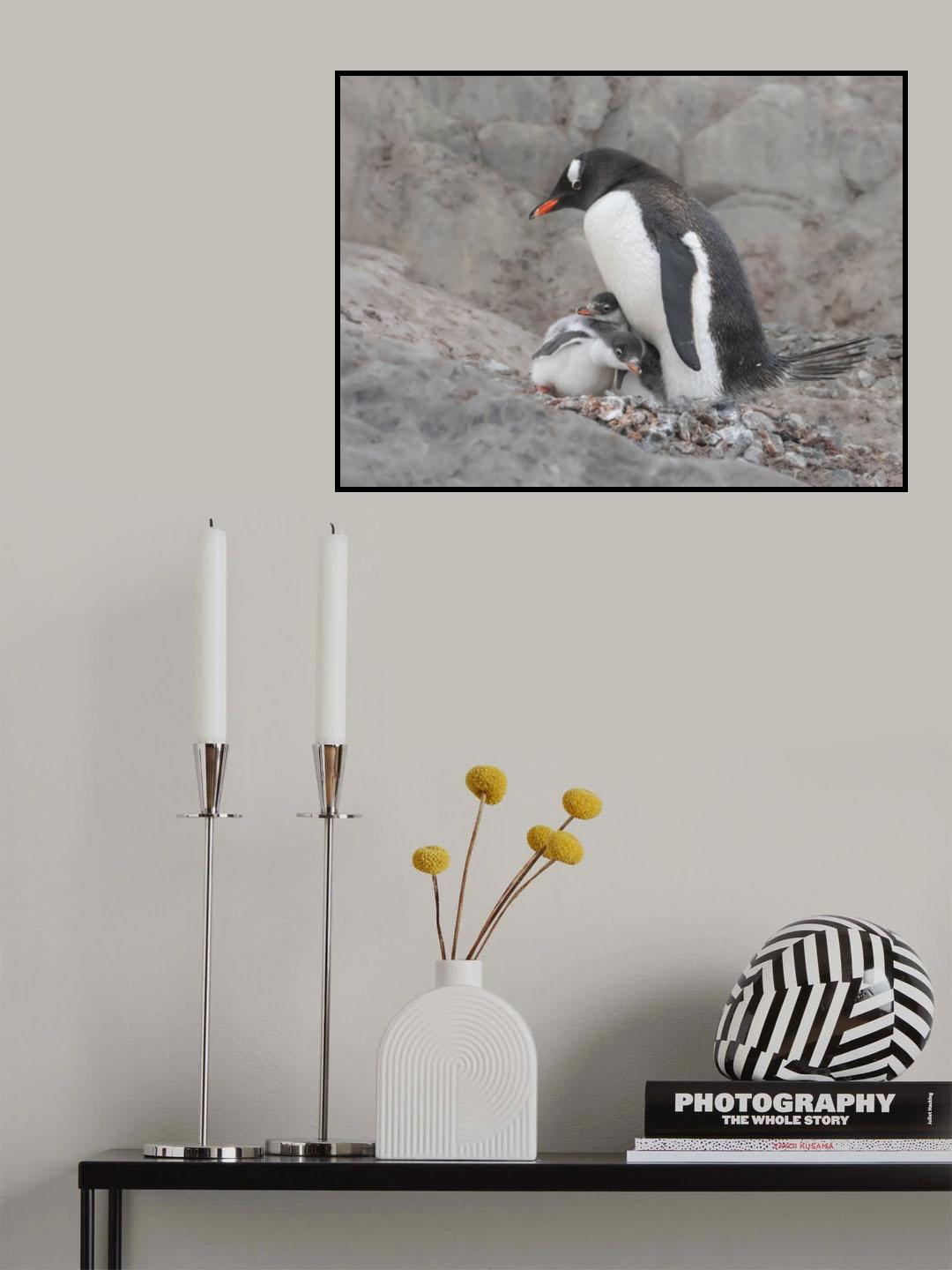 Can't wait to go out Poster och Canvastavla
