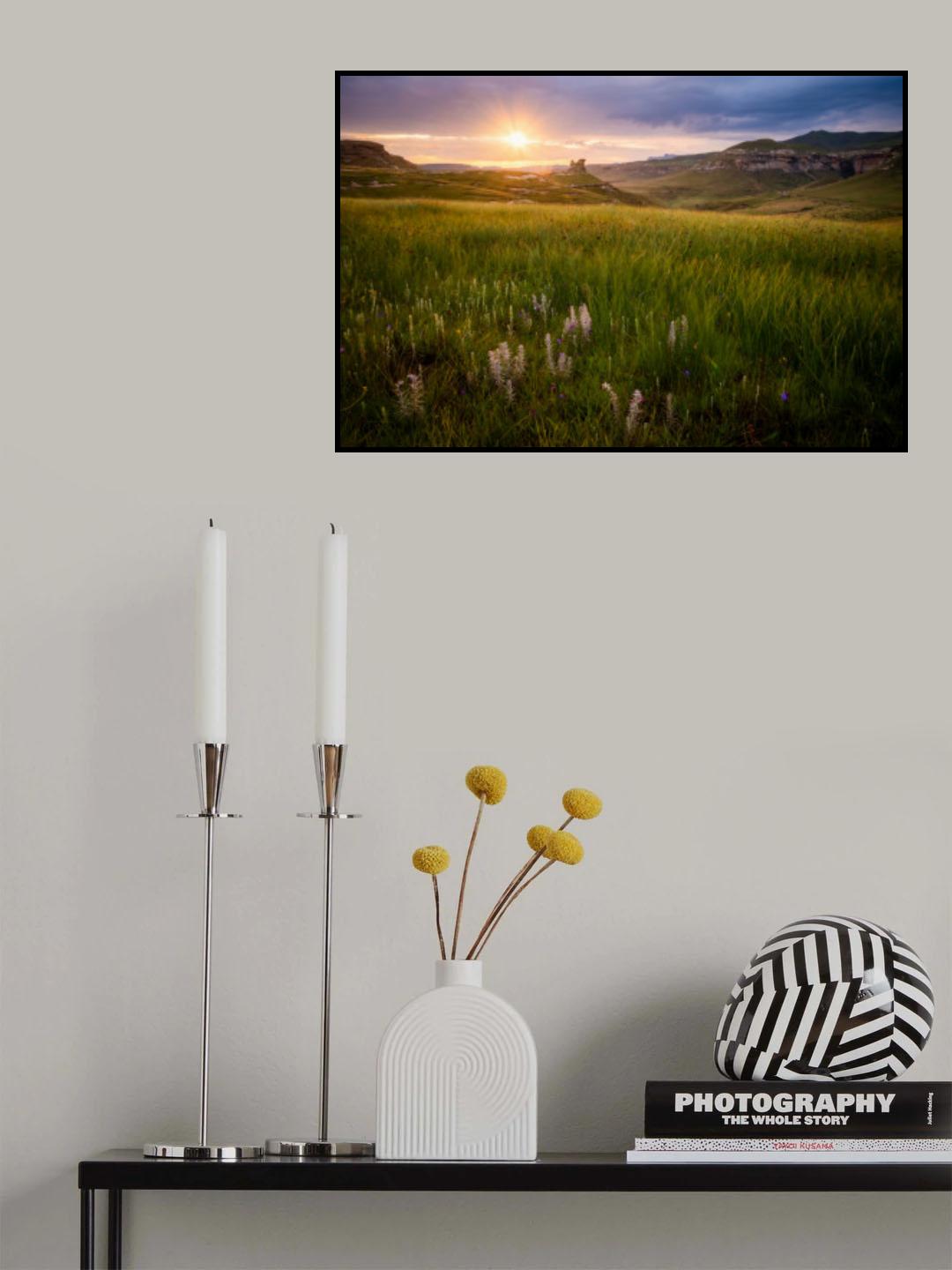 Wildflowers Sunrise Poster och Canvastavla