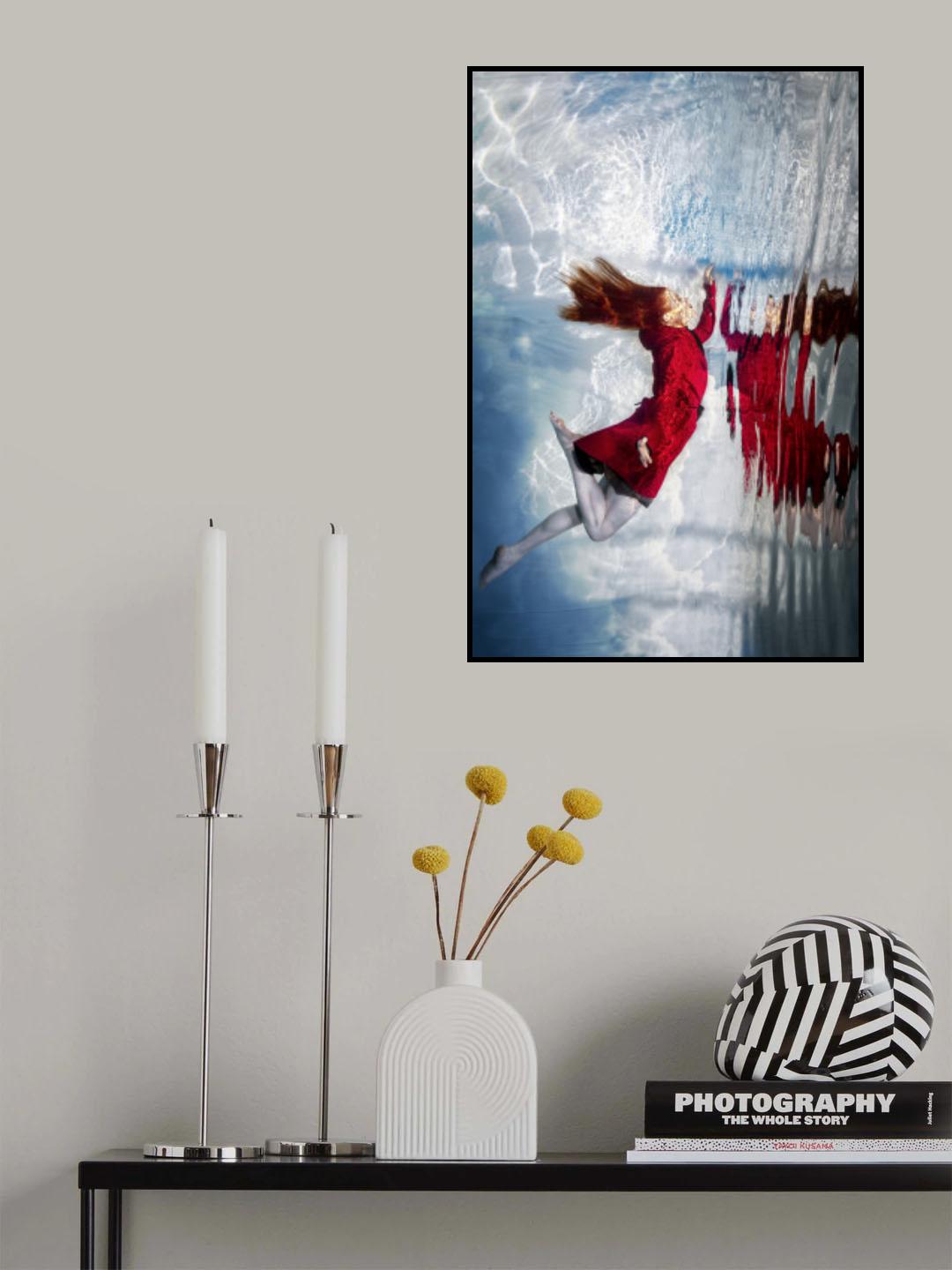 RED Fly XI Poster och Canvastavla