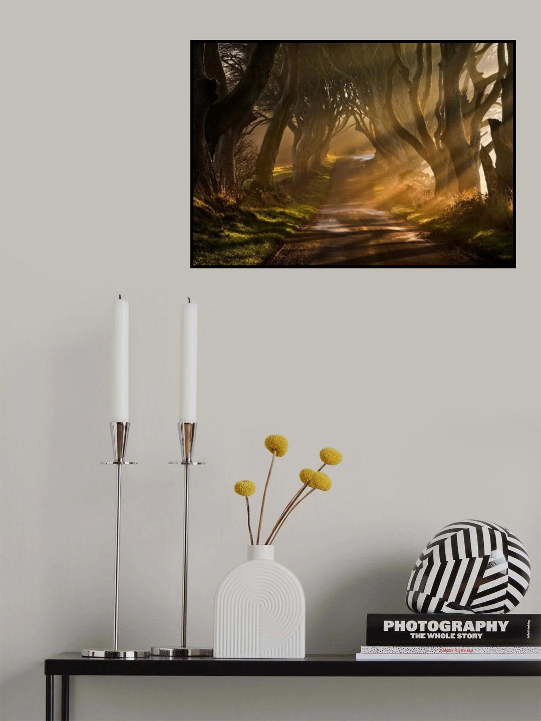 The Road Goes Ever On & On Poster och Canvastavla