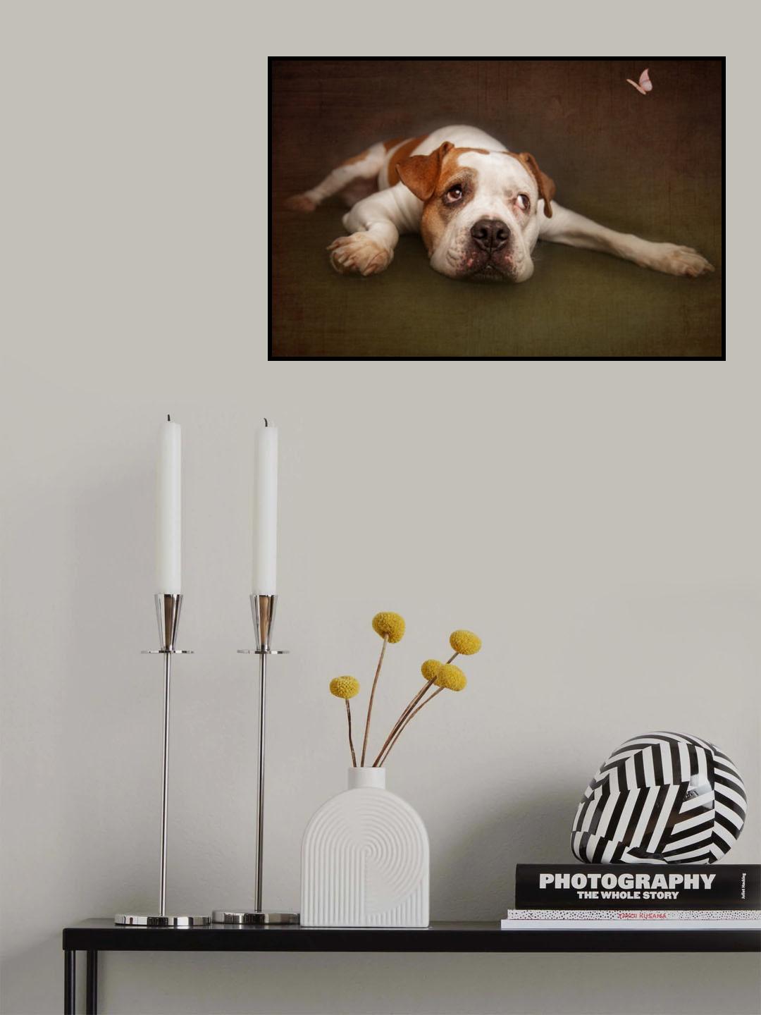 Illusion Poster och Canvastavla