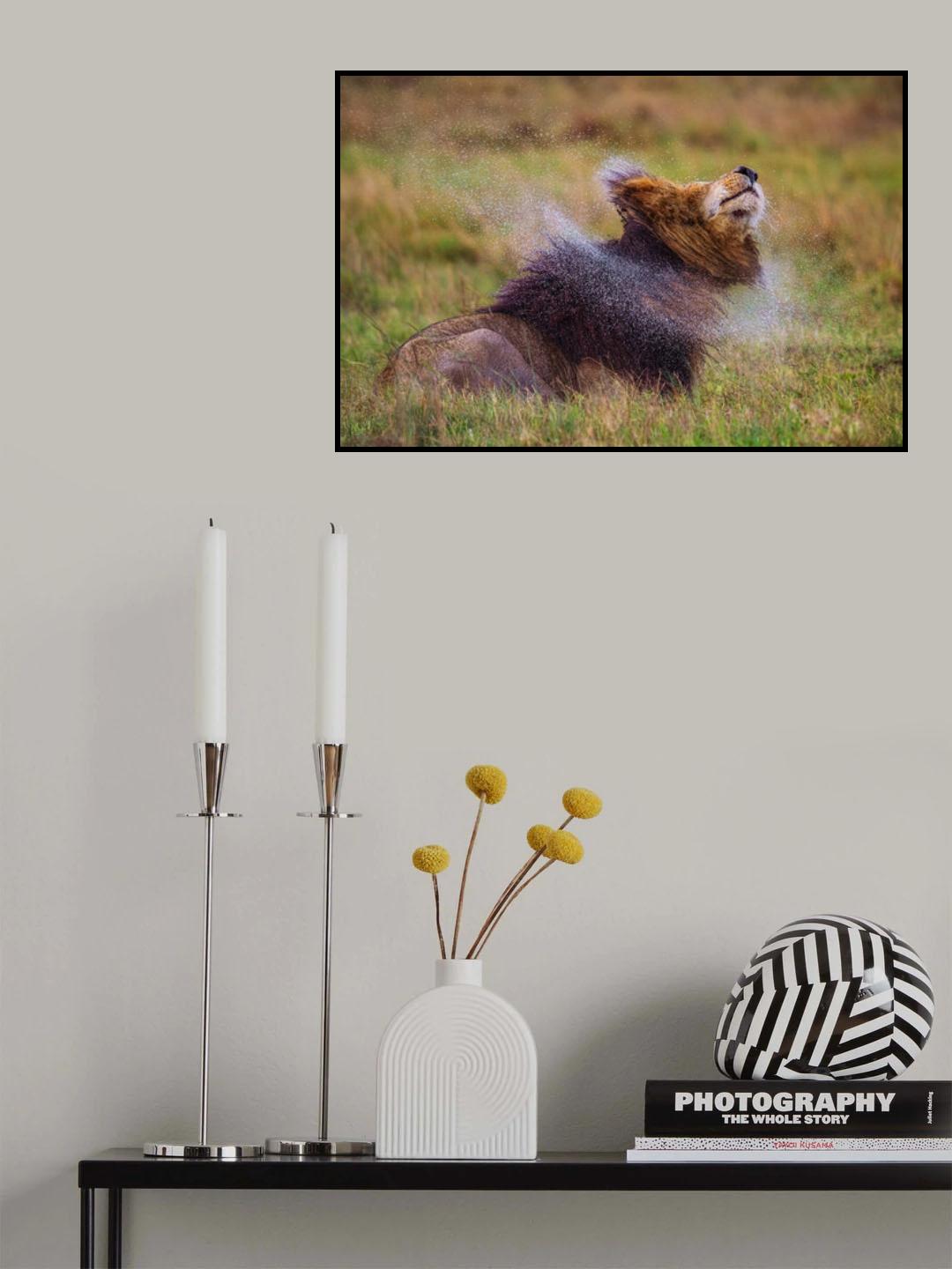 Scar Shake Poster och Canvastavla