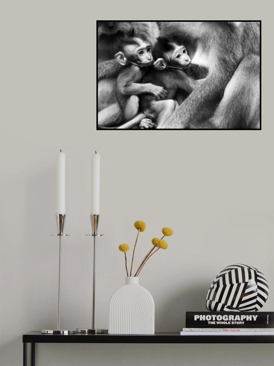 Poster och Canvastavla