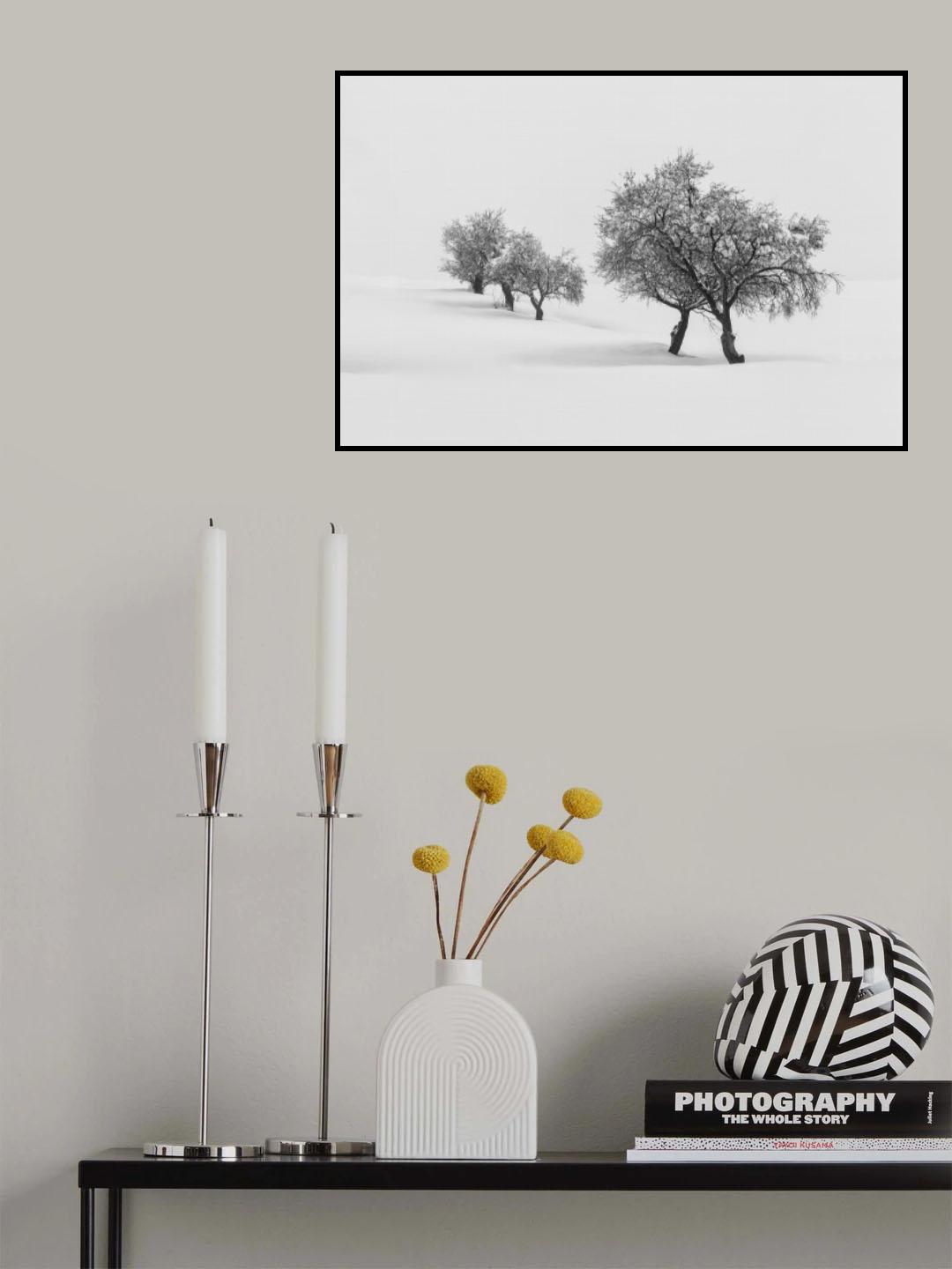 White carpet II Poster och Canvastavla