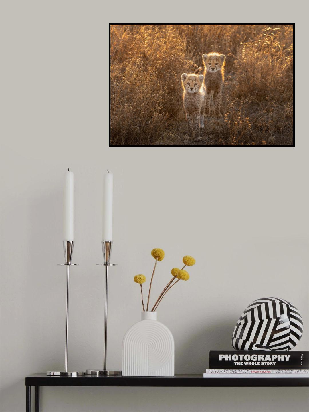 Two Little cheetah Poster och Canvastavla