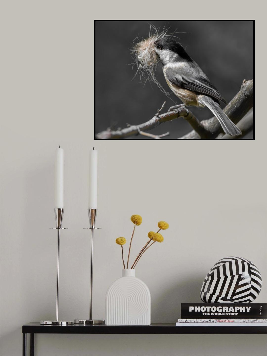 Chickadee mustachio Poster och Canvastavla