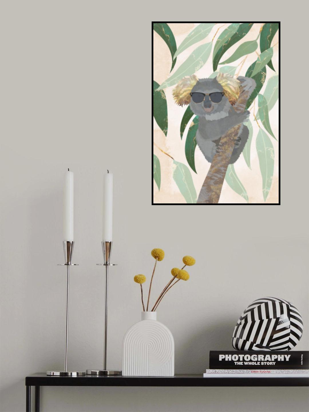 Cool Koala Poster och Canvastavla
