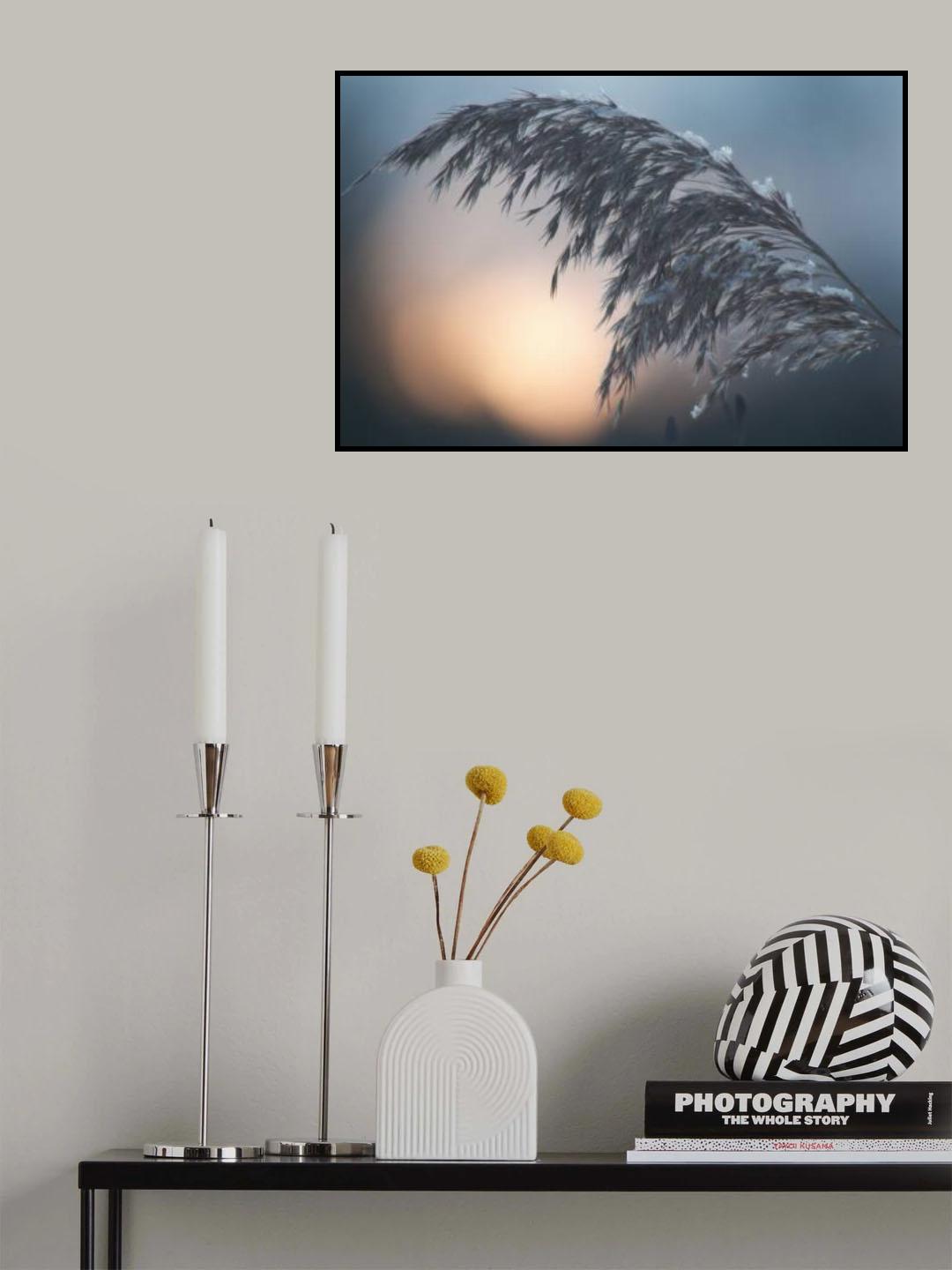 Easy Poster och Canvastavla