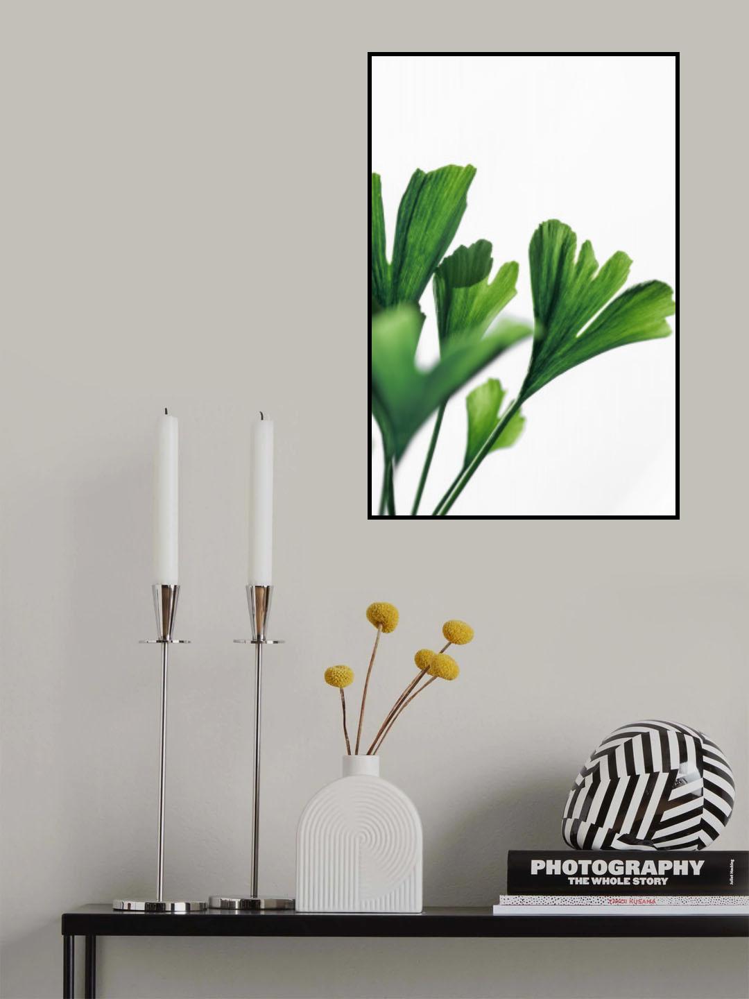 Ginko 4 Poster och Canvastavla
