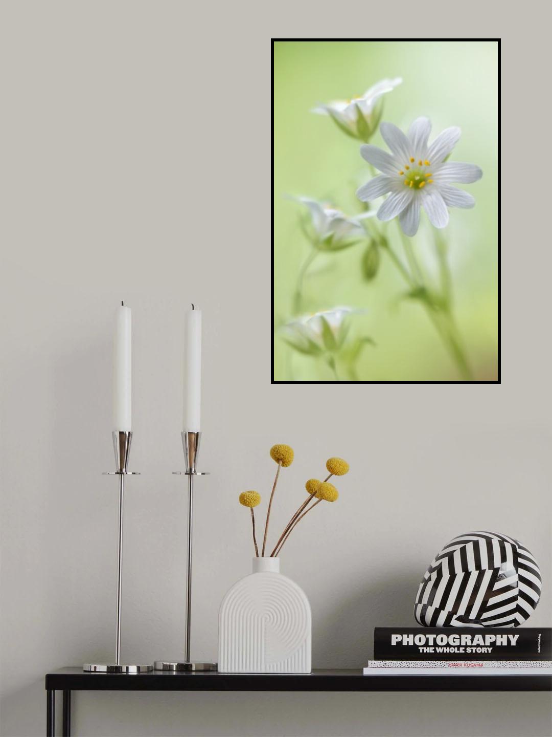 Spring sparkle Poster och Canvastavla