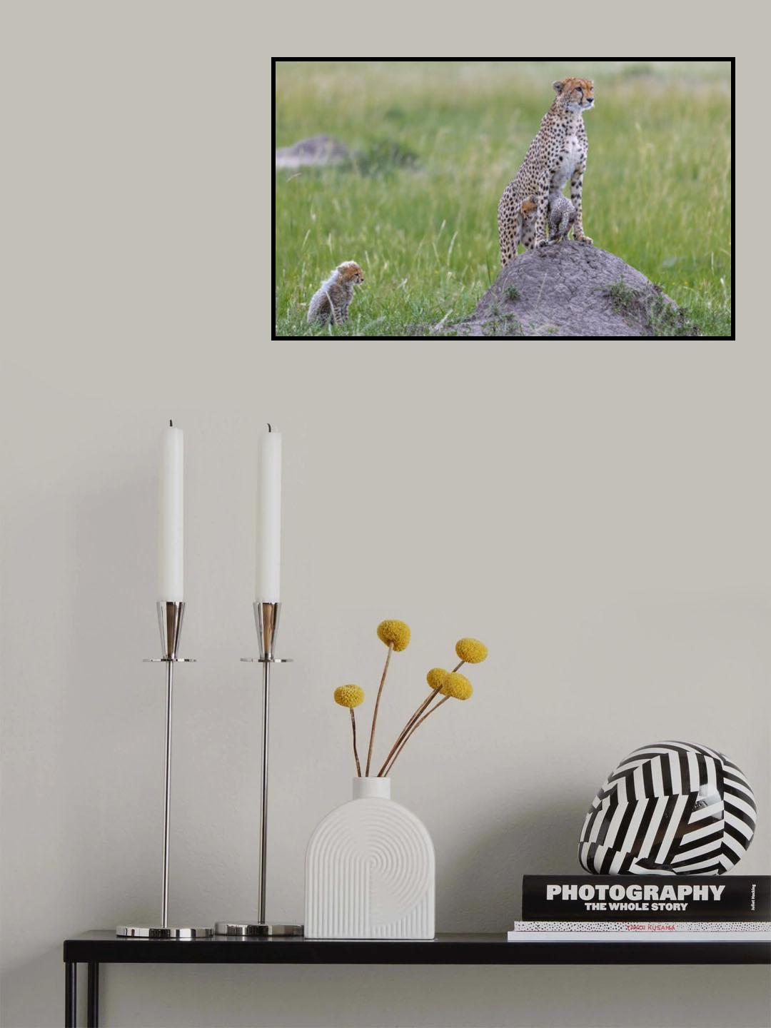 Cheetah and Cubs Poster och Canvastavla