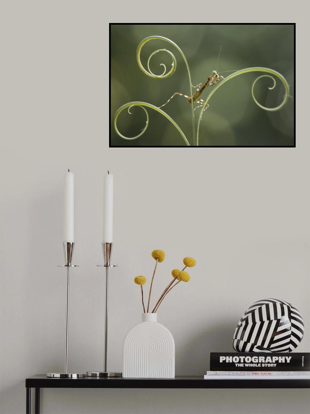 Brown Mantis on Leaf Edge Poster och Canvastavla