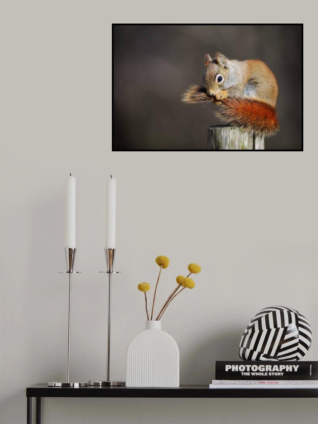 Little chap Poster och Canvastavla
