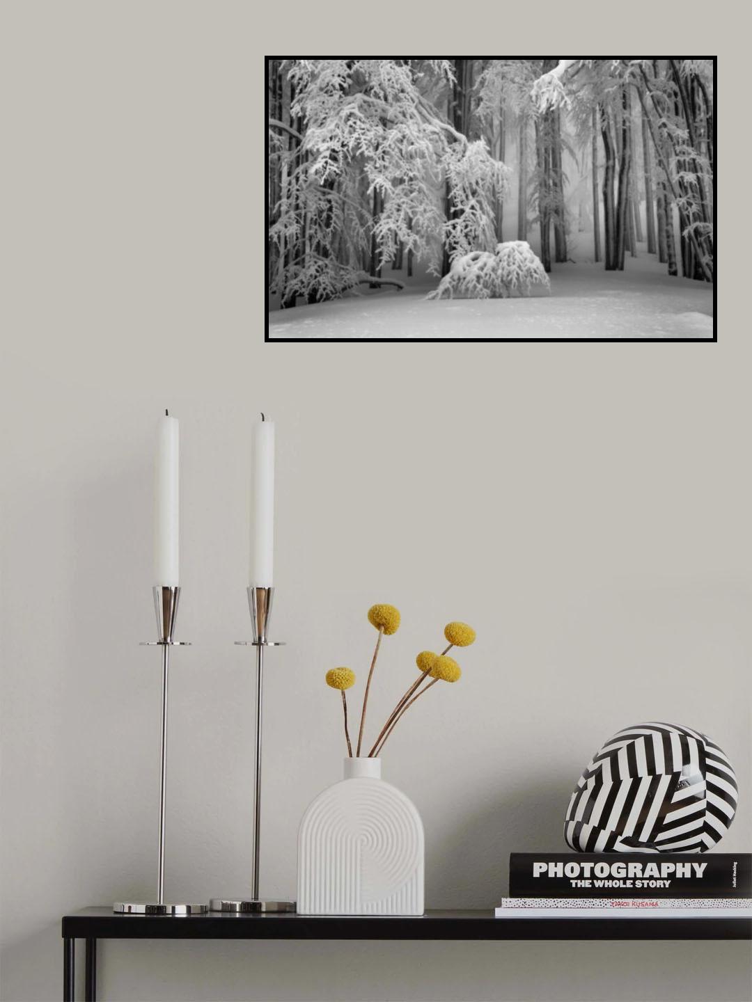 Perfect Winter Poster och Canvastavla