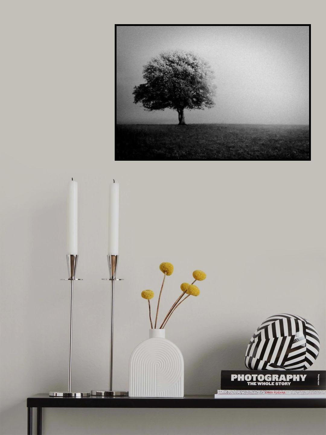 Tree part 2 Poster och Canvastavla