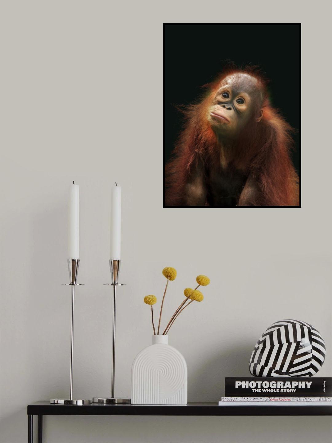 Barney Poster och Canvastavla