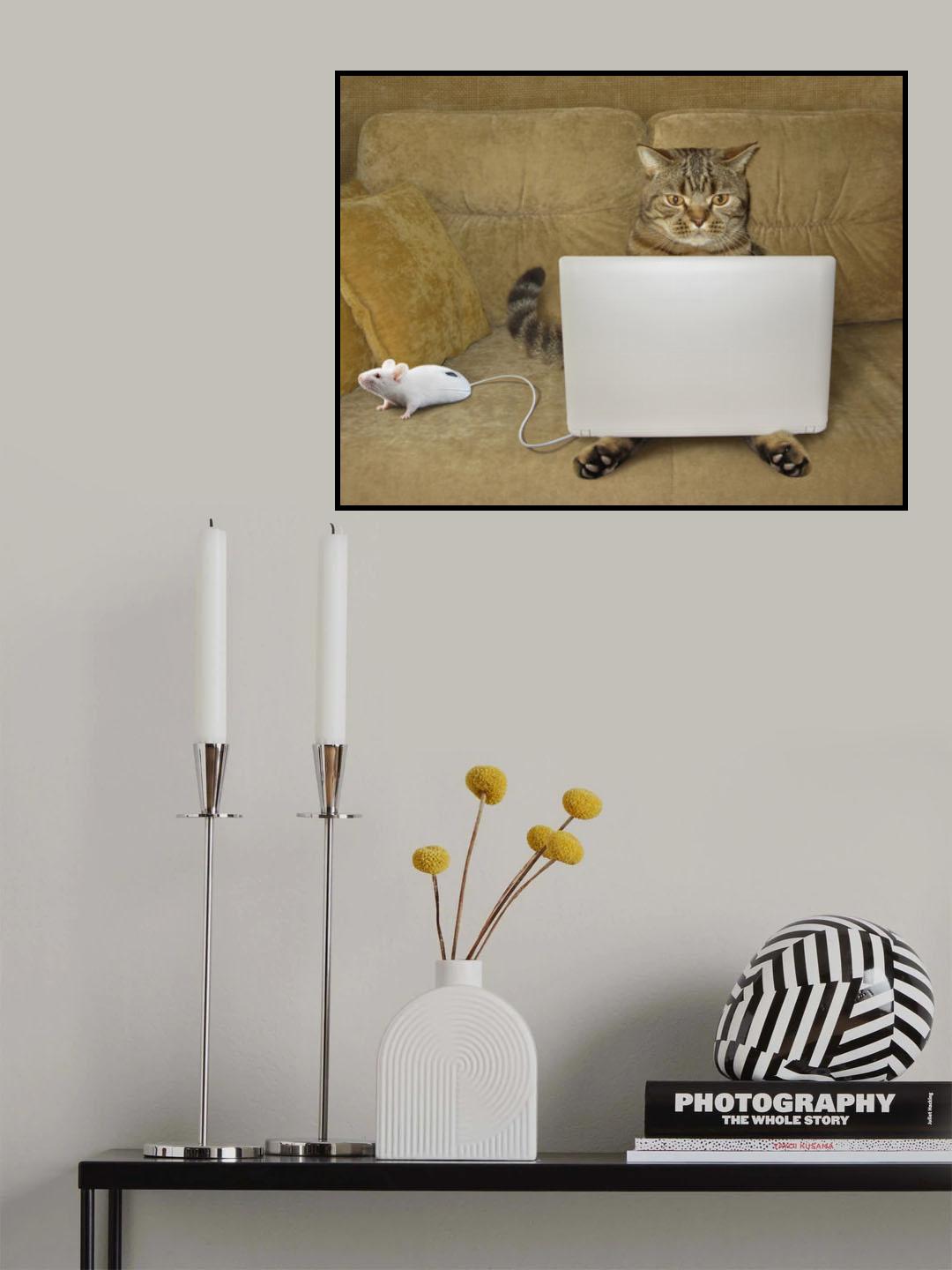 Cat-hacker... Poster och Canvastavla