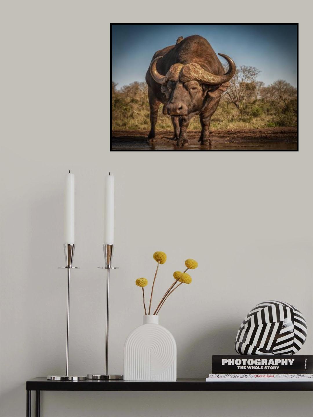 The Thousand Yard Stare Poster och Canvastavla
