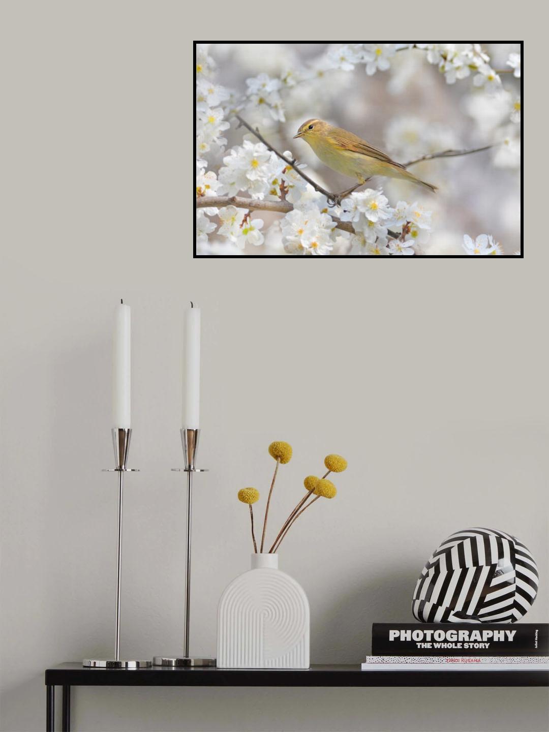 Spring is coming Poster och Canvastavla
