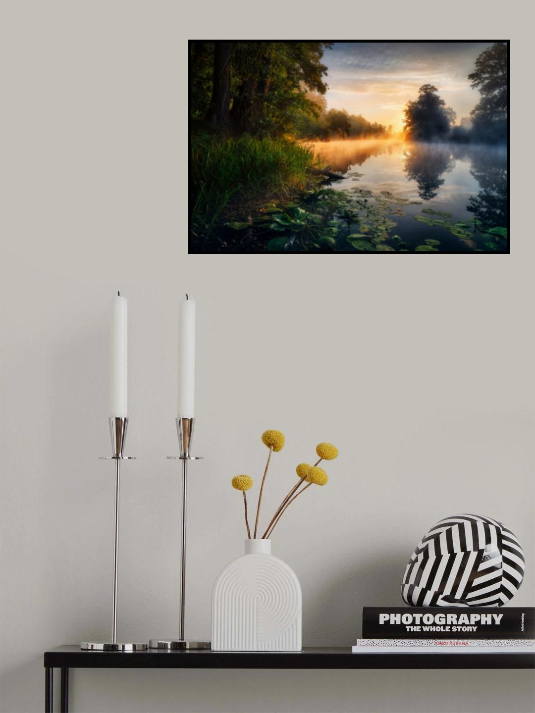 Enchanted pond Poster och Canvastavla