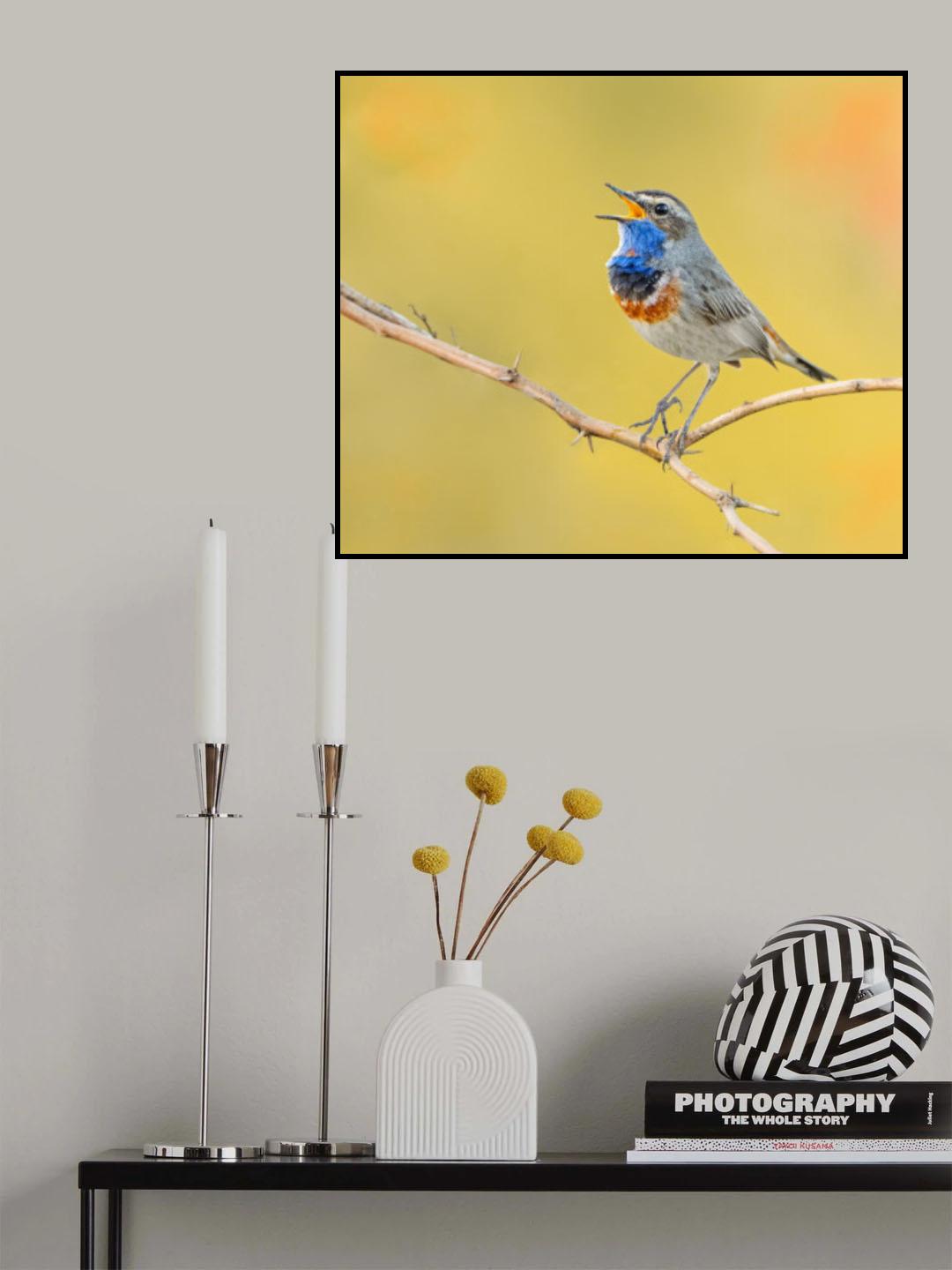 BLUETHROAT Poster och Canvastavla