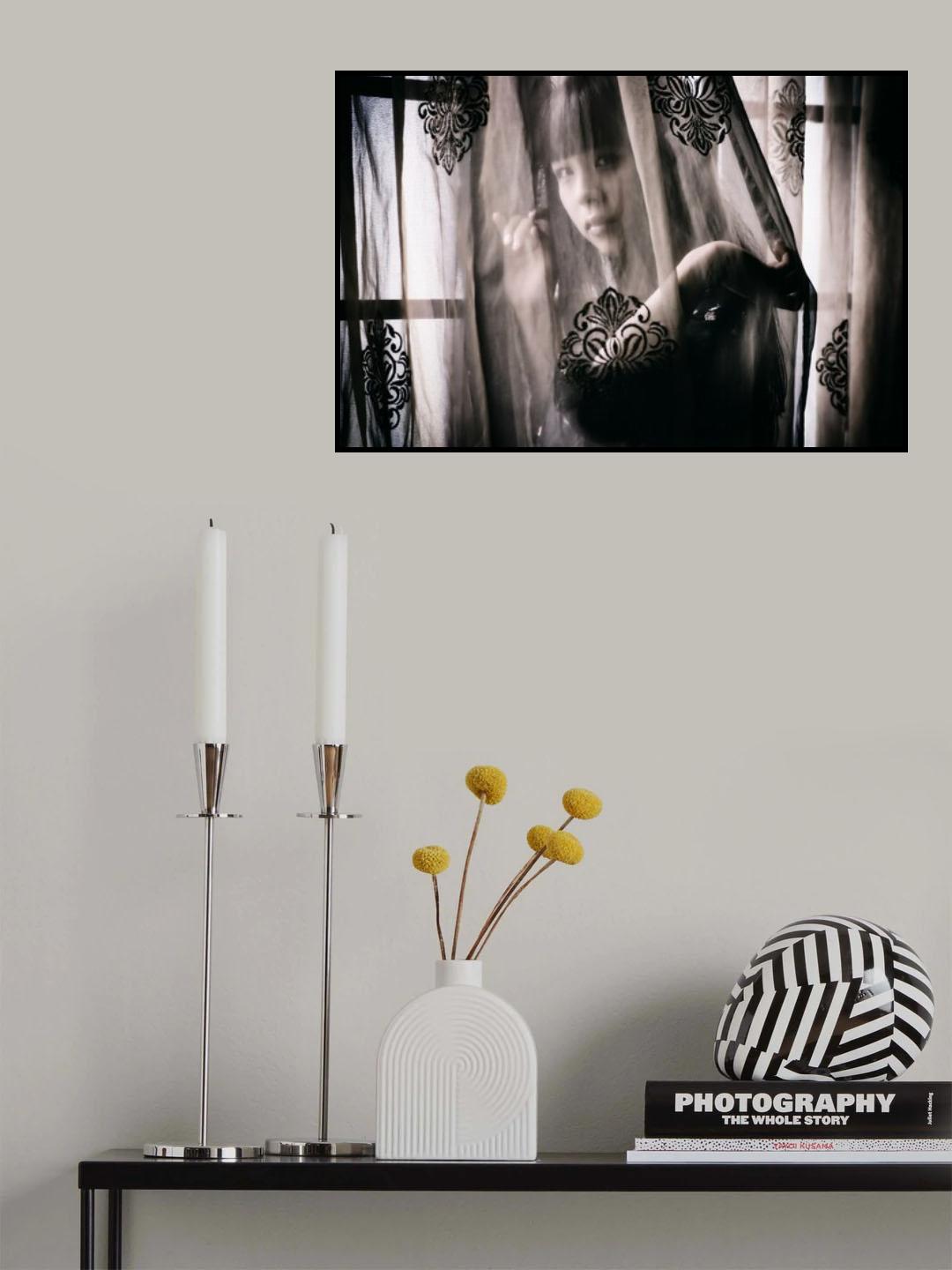 Hidden in a Veil Poster och Canvastavla